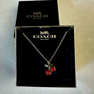 Coach Cherry Necklace